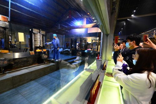 道不盡齊魯糧油好 走進山歌，聽百年油坊唱響的時代新韻